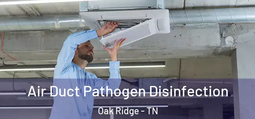  Air Duct Pathogen Disinfection Oak Ridge - TN