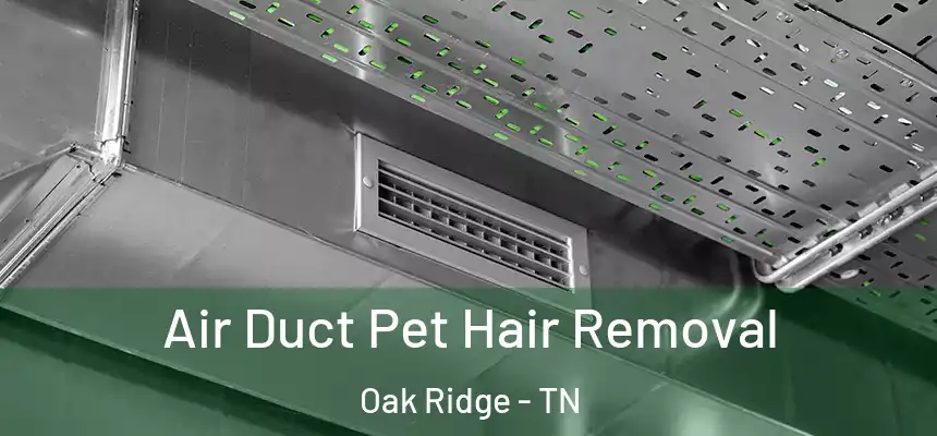  Air Duct Pet Hair Removal Oak Ridge - TN
