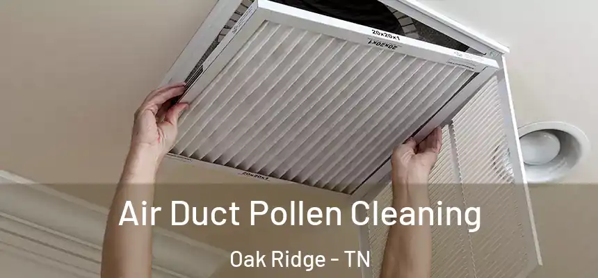  Air Duct Pollen Cleaning Oak Ridge - TN