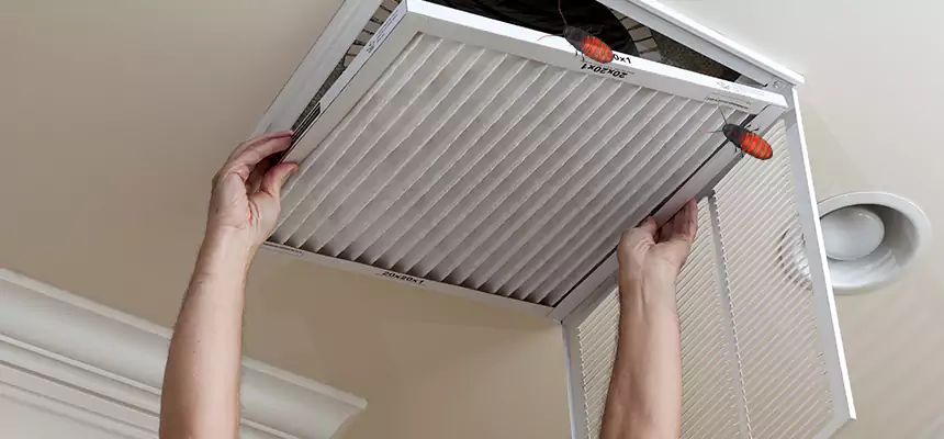 Our Insect Removal from Air Ducts Services in Oak Ridge, TN