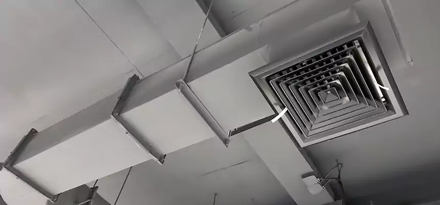 Our Pest Removal From Ducts Services in Oak Ridge, TN