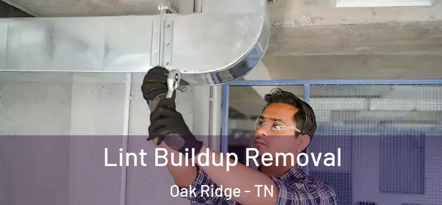  Lint Buildup Removal Oak Ridge - TN