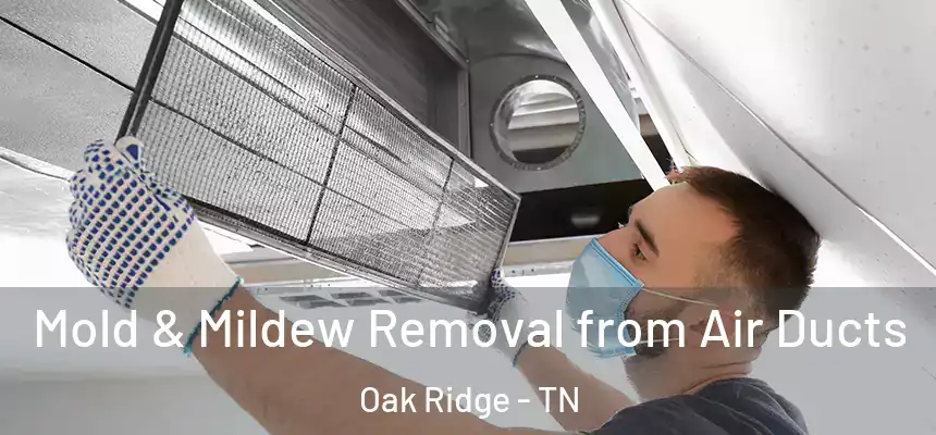  Mold & Mildew Removal from Air Ducts Oak Ridge - TN