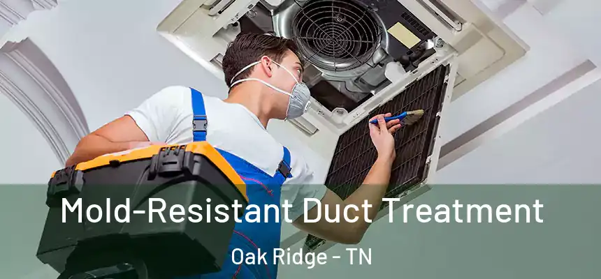  Mold-Resistant Duct Treatment Oak Ridge - TN
