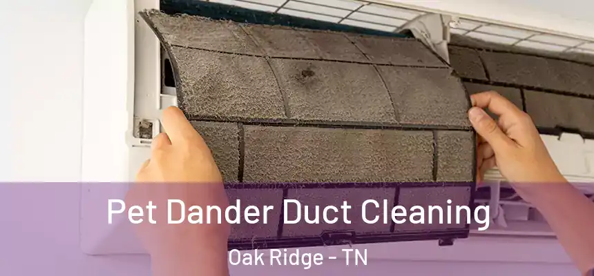  Pet Dander Duct Cleaning Oak Ridge - TN