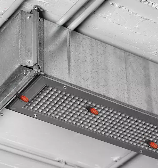 About Air Duct Cockroach Removal in Oak Ridge, TN