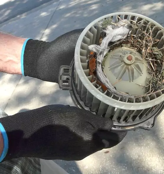 About Air Duct Mice Removal in Oak Ridge, TN