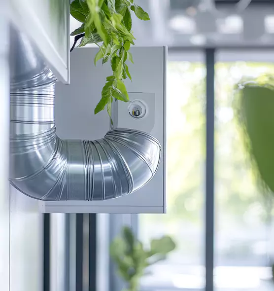 Professional Eco-Safe Dryer Vent Cleaning in Oak Ridge, TN