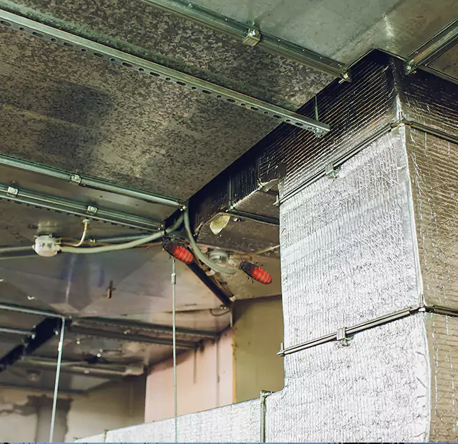 Why Homeowners & Businesses Trust Us in Oak Ridge, TN?