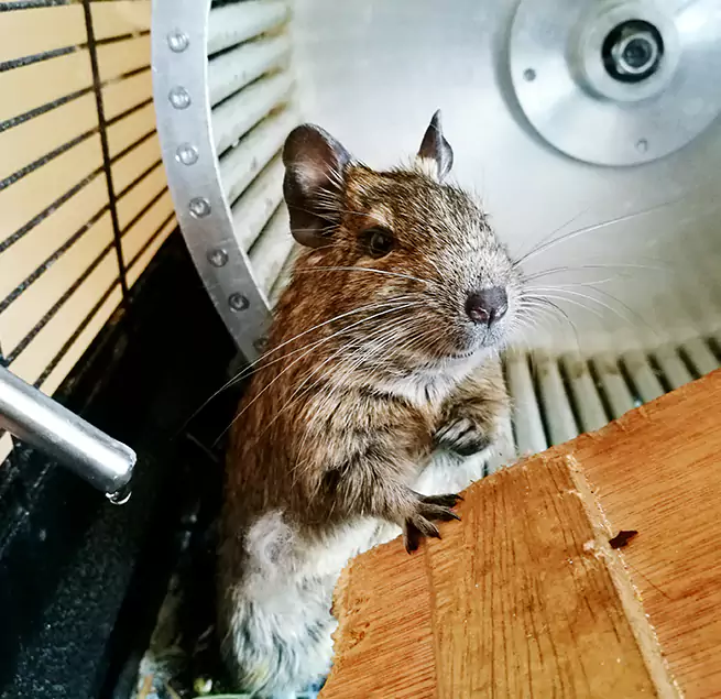 Why Homeowners & Businesses Trust Us Oak Ridge, TN?