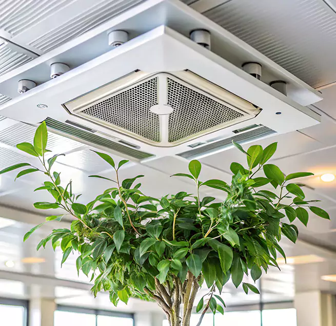 Why Homeowners & Businesses Trust Us in Oak Ridge, TN