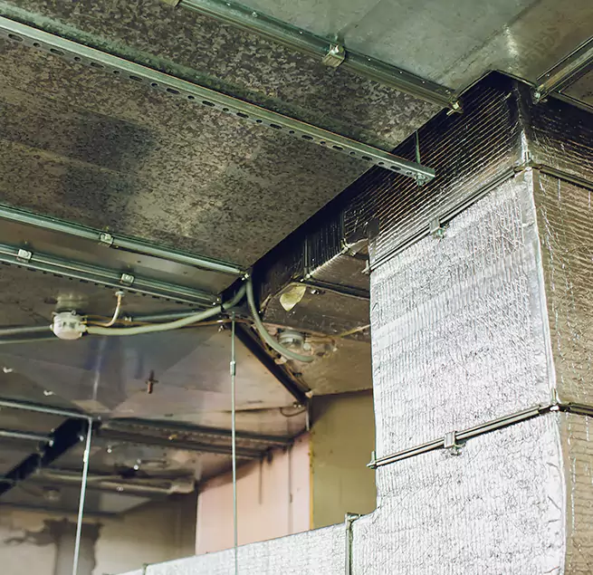 Why Homeowners & Businesses Trust Us in Oak Ridge, TN?